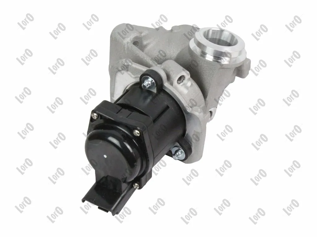 EGR Valve 121-01-019