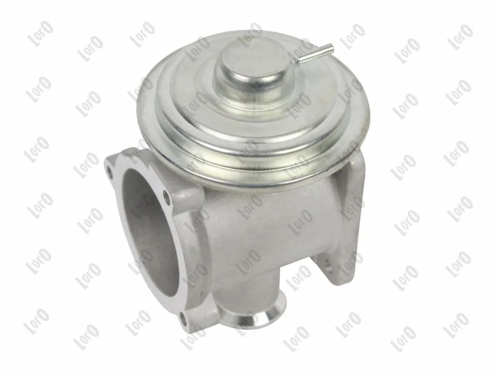 Válvula EGR 121-01-064