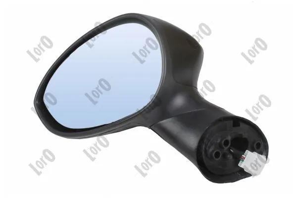 Exterior Mirror 1113M01
