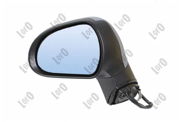 Exterior Mirror 2911M01