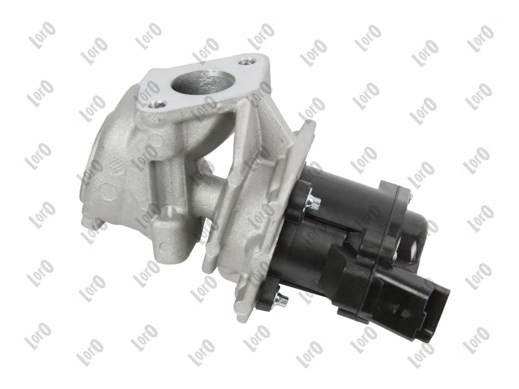 EGR Valve 121-01-019