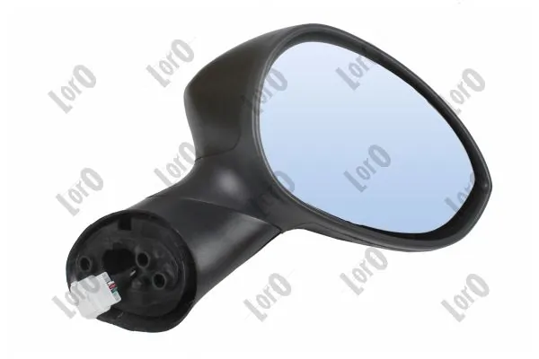 Exterior Mirror 1113M02
