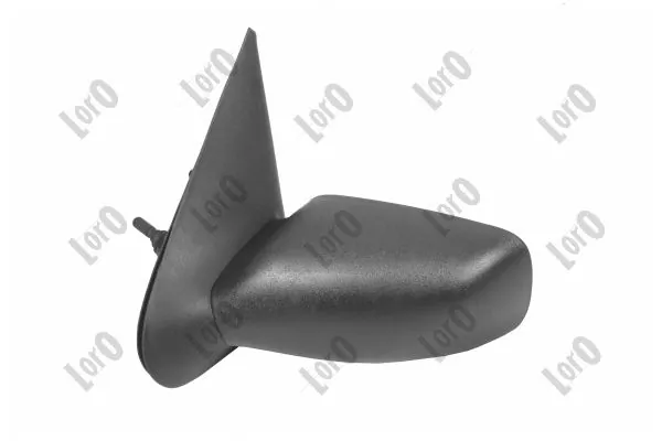 Exterior Mirror 1209M01