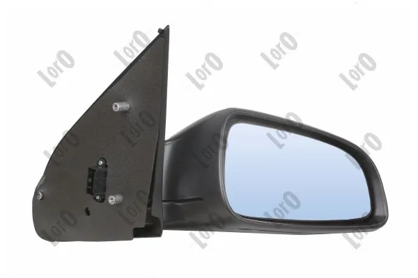 Exterior Mirror 2807M06