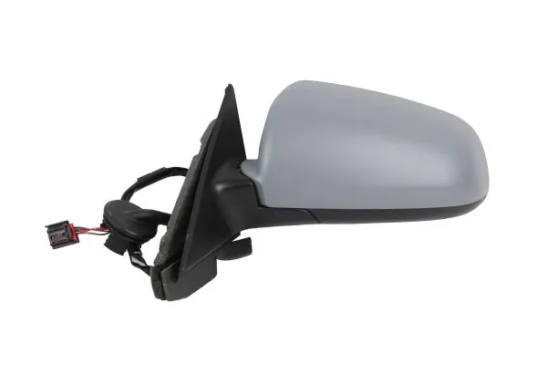 Exterior Mirror 0209M01