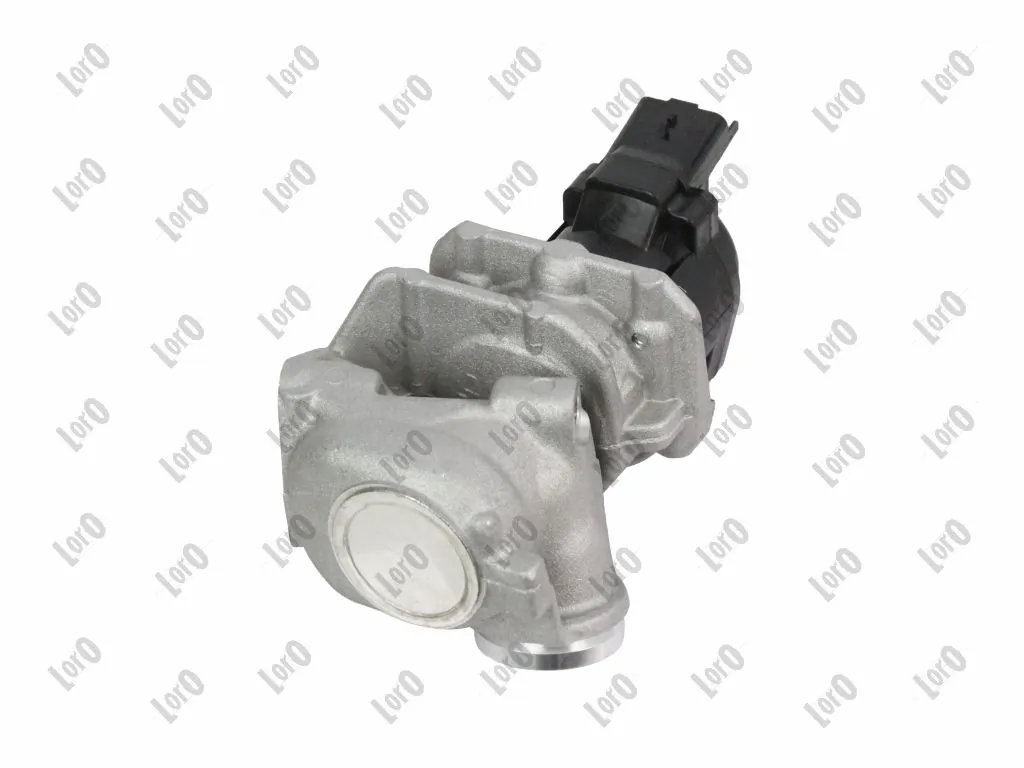 EGR Valve 121-01-019