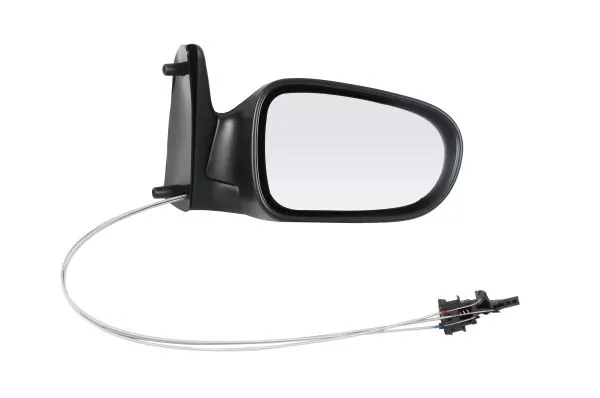 Exterior Mirror 1223M02