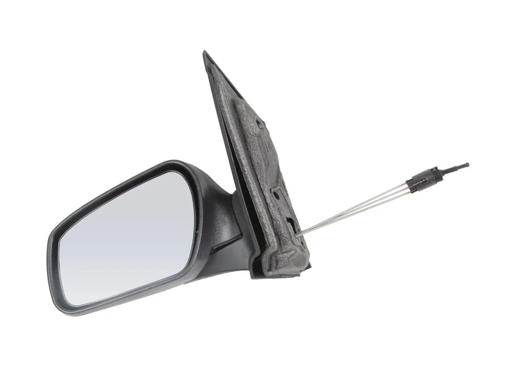 Exterior Mirror 1219M03