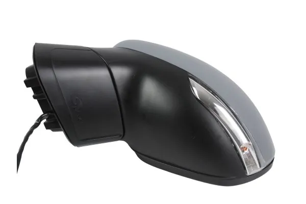 Exterior Mirror 1115M01