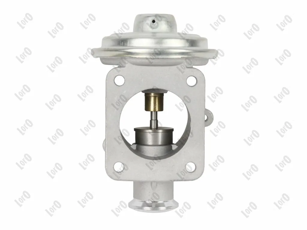 Válvula EGR 121-01-064