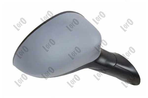 Exterior Mirror 1113M08