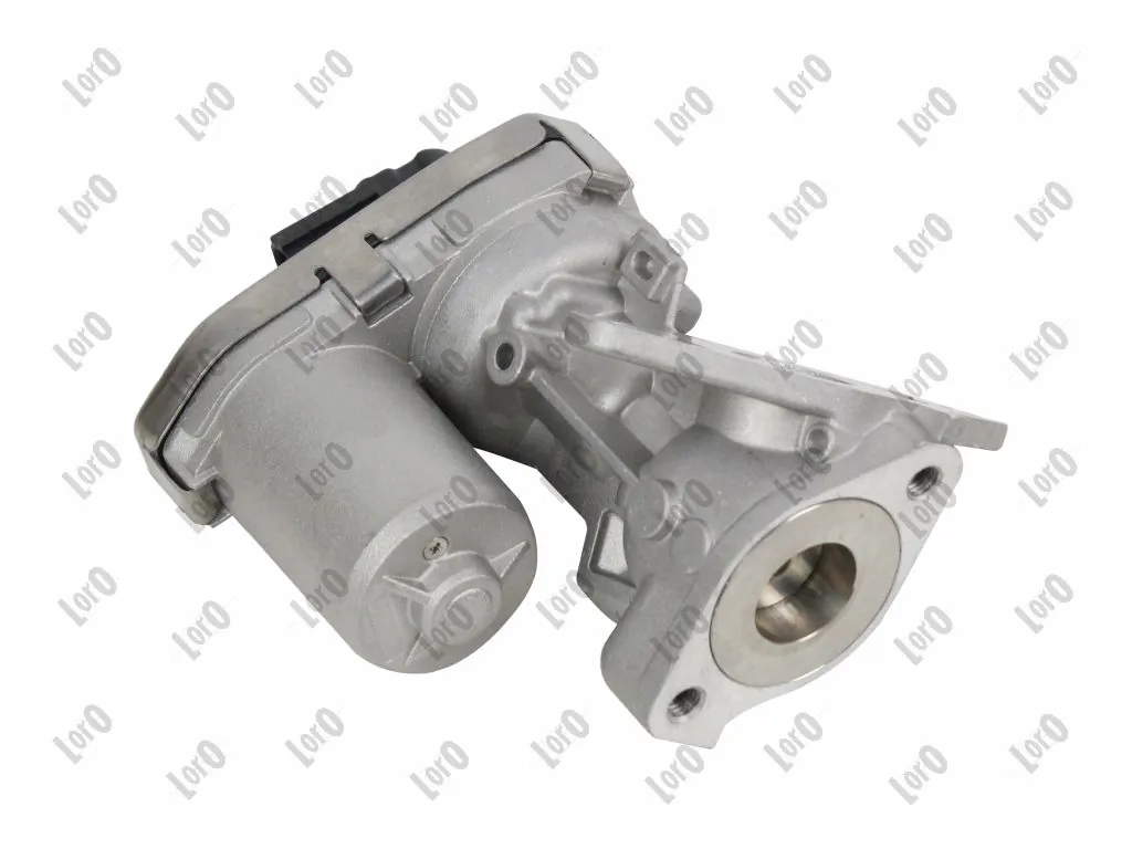 EGR Valve 121-01-007