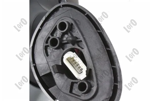 Exterior Mirror 1101M10