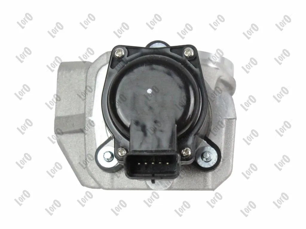 EGR Valve 121-01-019