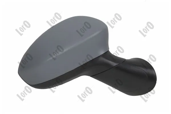 Exterior Mirror 1101M10