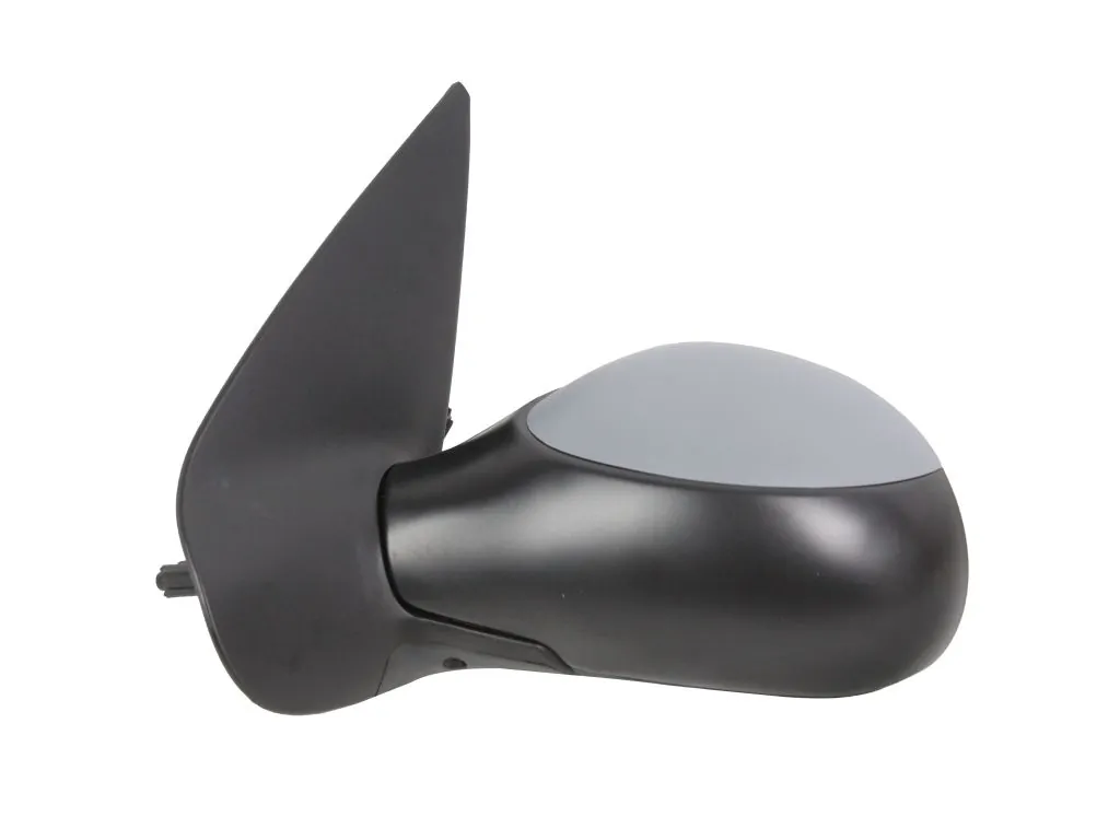 Exterior Mirror 2907M09