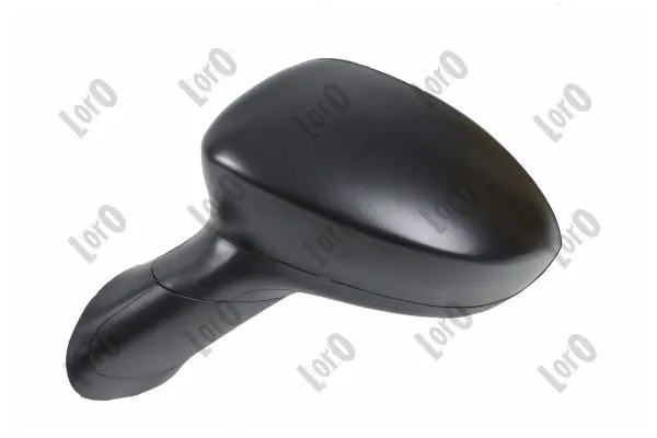 Exterior Mirror 1113M01