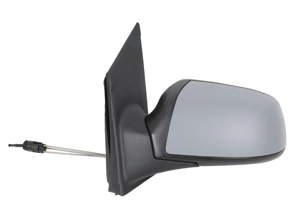 Exterior Mirror 1219M03