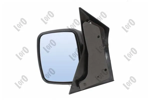 Exterior Mirror 2437M01