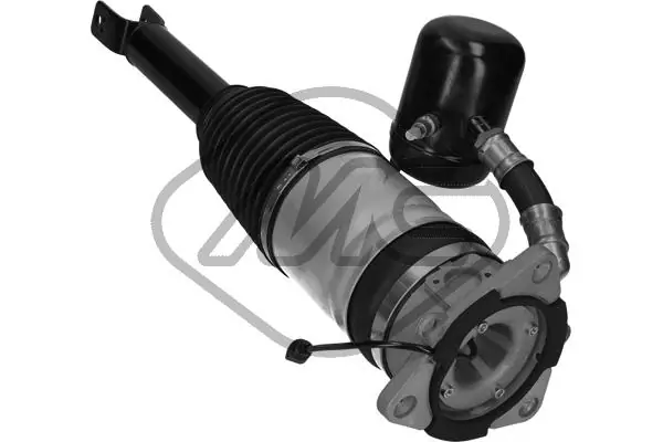 Air Suspension Strut 42915