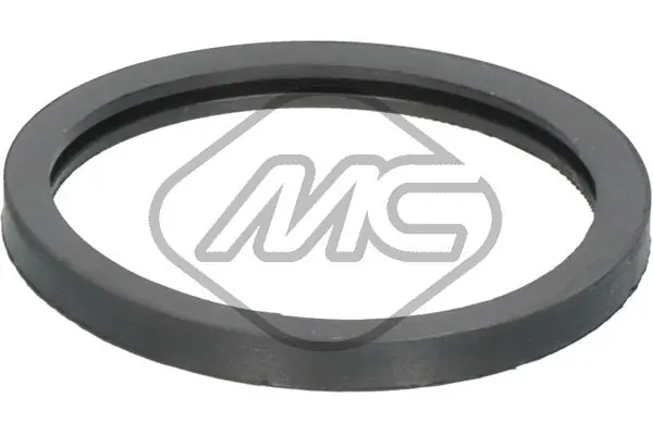 Seal, thermostat 02356