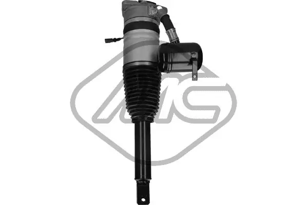 Air Suspension Strut 42915