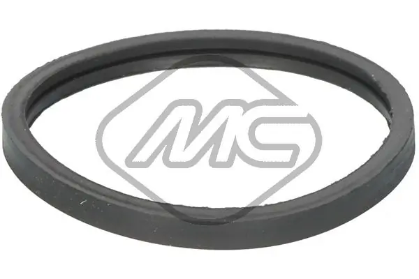 Seal, thermostat 02361