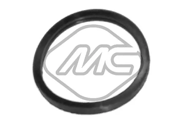 Seal, thermostat 02351