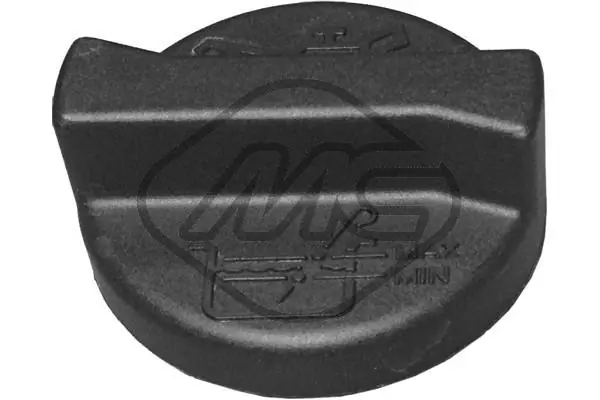 Sealing Cap, oil filler neck 03704