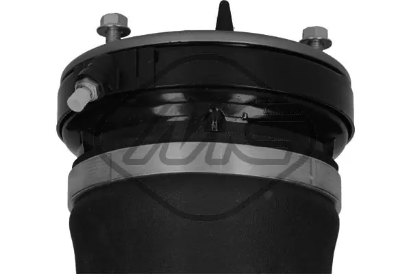 Air Suspension Strut 42903