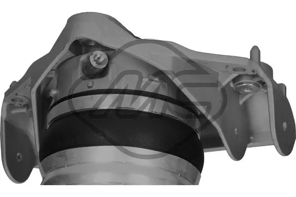 Air Suspension Strut 42916