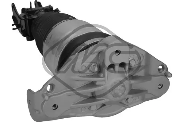 Air Suspension Strut 42916