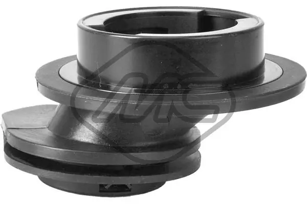 Sealing Cap, oil filler neck 43058