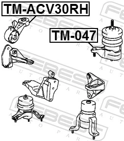 FEBEST TM-ACV30RH Mounting, engine