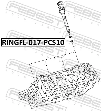 Seal Ring Set, injection valve RINGFL-017-PCS10