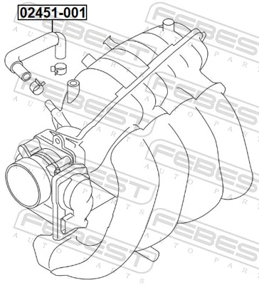 FEBEST 02451-001 Hose, cylinder head cover ventilation