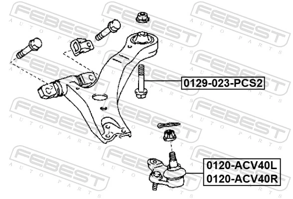 FEBEST 0129-023-PCS2 Camber Correction Screw