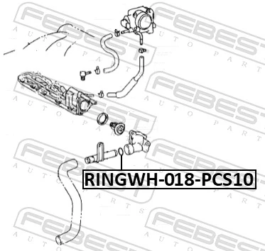 FEBEST RINGWH-018-PCS10 Gasket, coolant flange