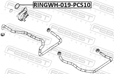 Gasket, oil cooler RINGOL-061-PCS10