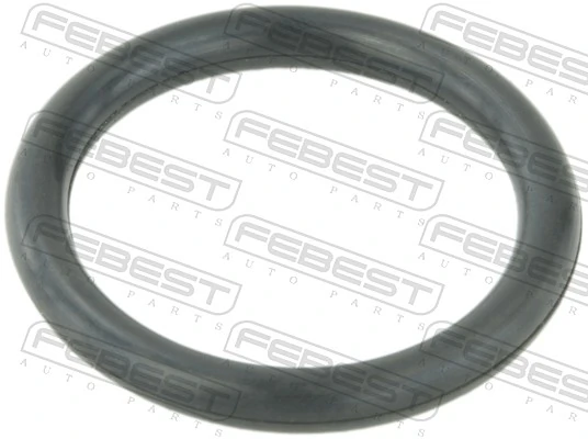 Gasket, coolant flange TT-TRAFII