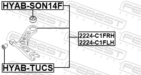 FEBEST 2224-C1FLH Control/Trailing Arm, wheel suspension