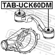 FEBEST TAB-UCK60DM Mounting, differential