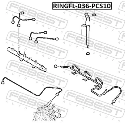 FEBEST RINGFL-036-PCS10 Seal Ring, injector