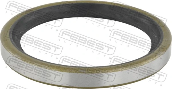 Seal Ring, wheel hub 95FDY-62780909C