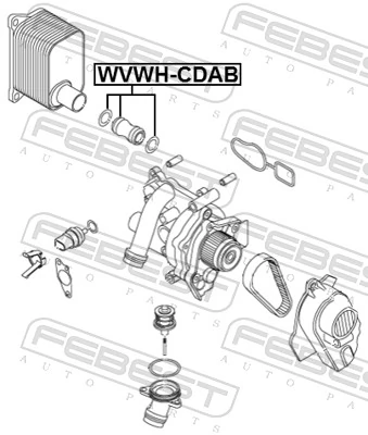 Radiator Hose VWWH-CDAB