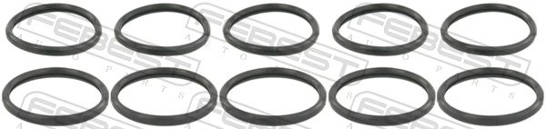 Gasket, coolant flange RINGWH-015-PCS10