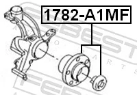 Wheel Hub 1782-A1MF