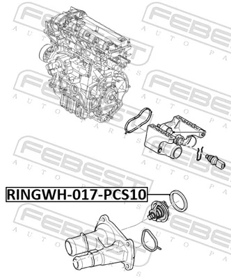 Gasket, coolant flange RINGWH-017-PCS10