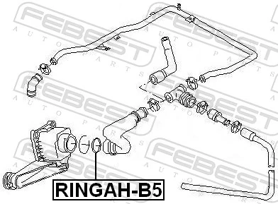 Gasket, EGR valve pipe RINGAH-B5