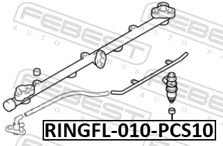 Seal Ring, injector RINGFL-010-PCS10